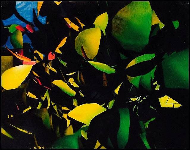 Pygoya's Rain Forest Gardens