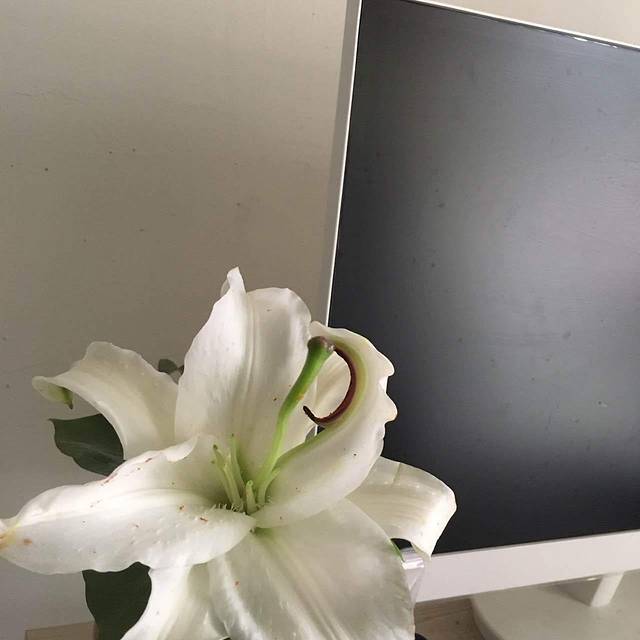 良品铺子(俊才街店)