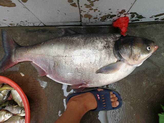 微山湖湿地渔家一号院