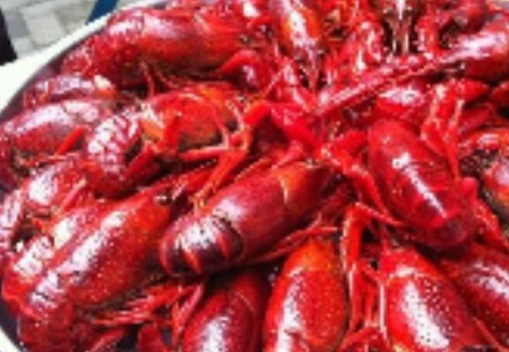 巴厘龙虾(黄浦路店)