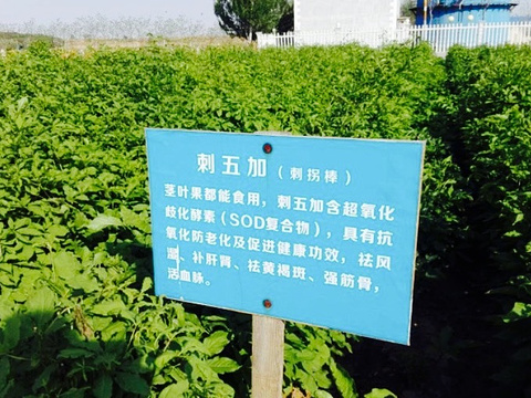 都市人生态果蔬采摘垂钓园