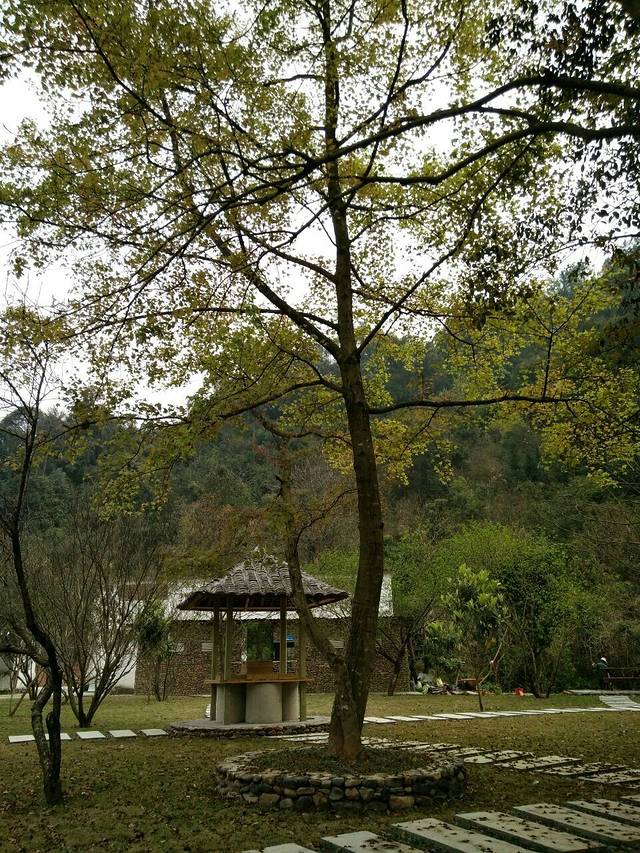 丹霞灵溪森林度假景区