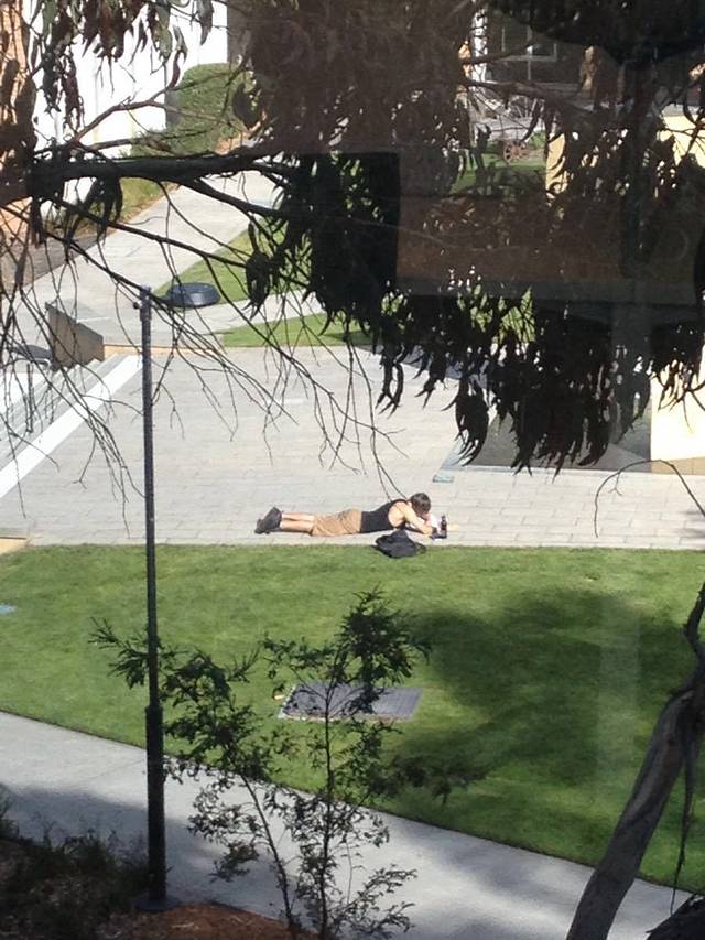 塔斯马尼亚大学