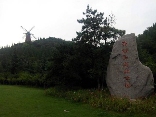 东坡头森林公园