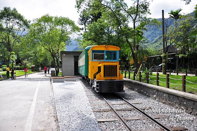 林田山林业文化园区