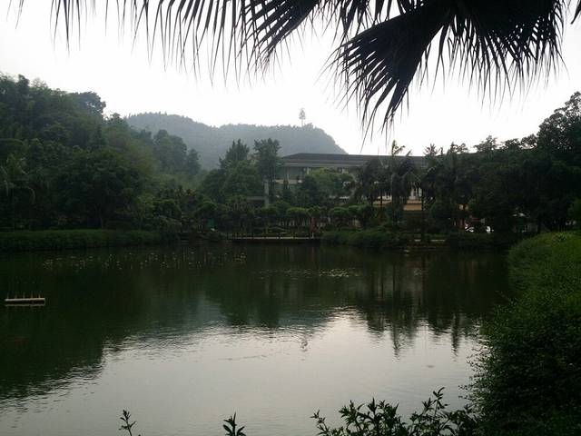 竹海世外桃源度假酒店中餐厅