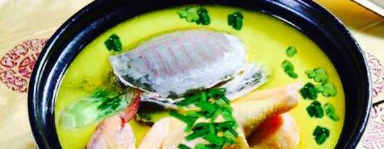 扬州药膳鸡(二店)