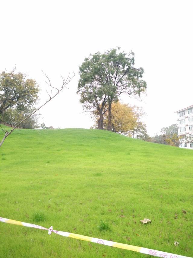 南京农业大学工学院-润泽园食堂