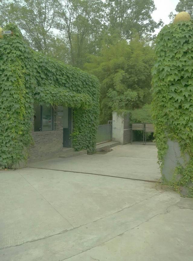 鹿野苑石刻艺术博物馆