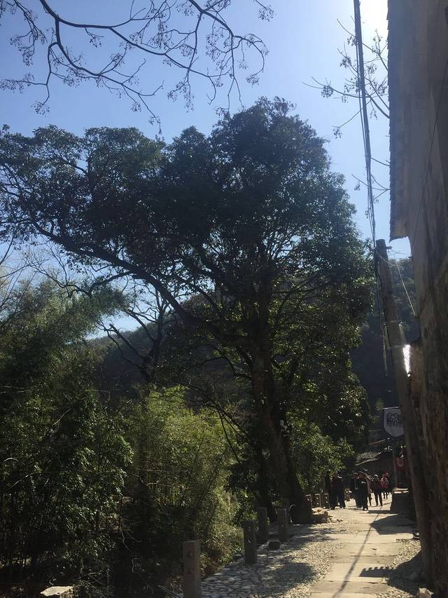 长潭情酒店农家乐