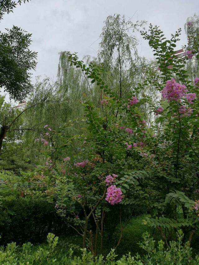 亚运村全民健身园