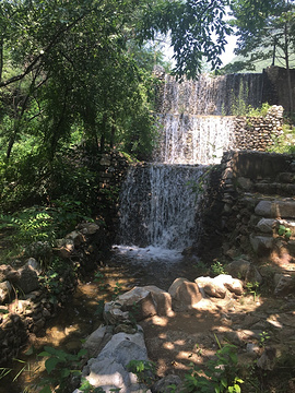 静之湖森林公园