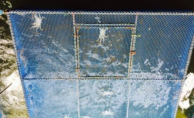 天然蟹舫(蟹舫苑店)