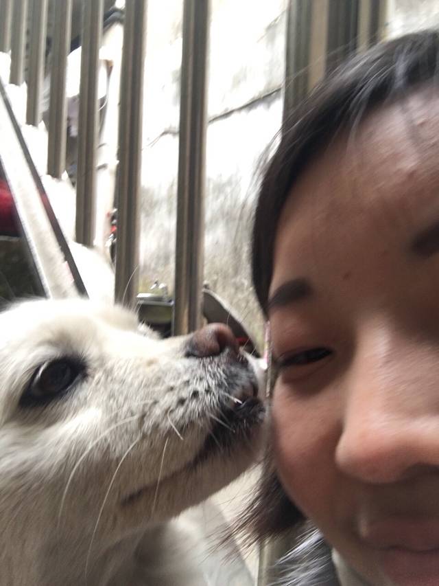 壹号井温泉山庄