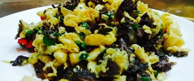 大笮风(体育馆总店)