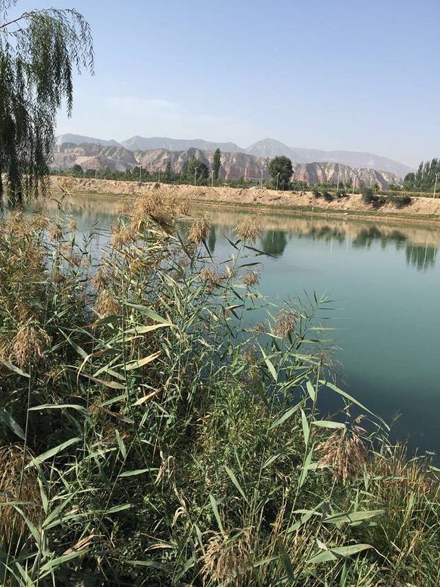 文胜手抓大王(风景店)