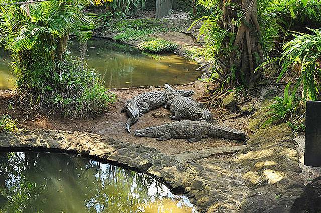 拉凡尼勒鳄鱼公园