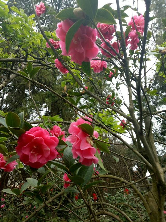 金格中心(东风东路店)