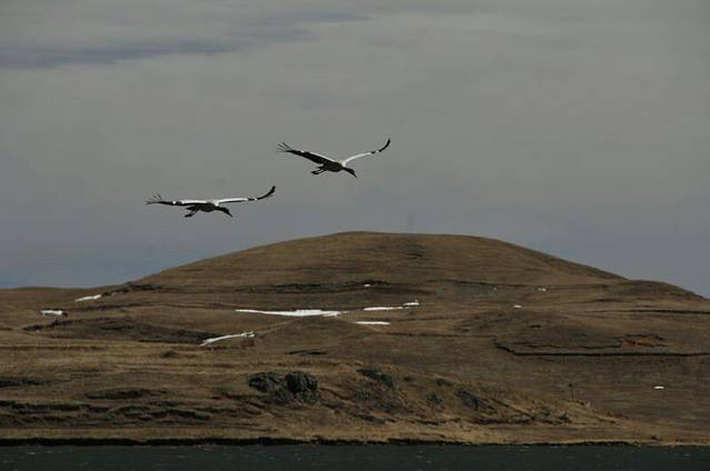 大山包黑颈鹤国家级自然保护区