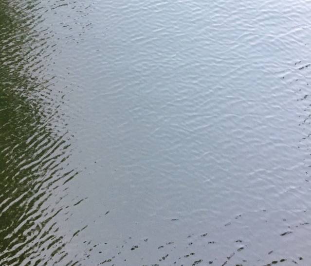 厦门东坪山旅游度假区