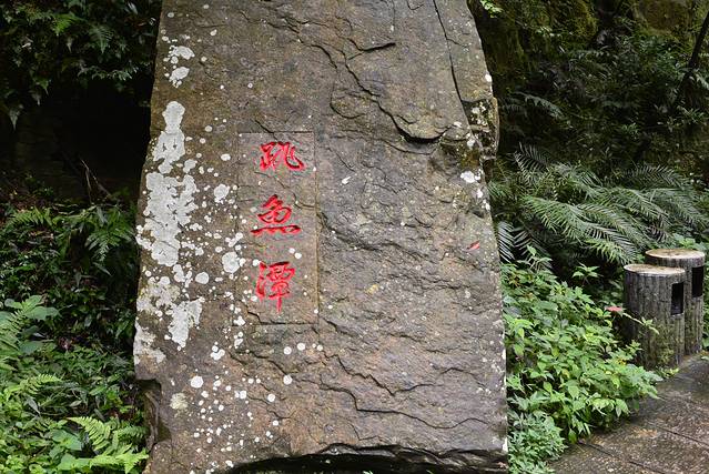 袁家界景区-跳鱼潭