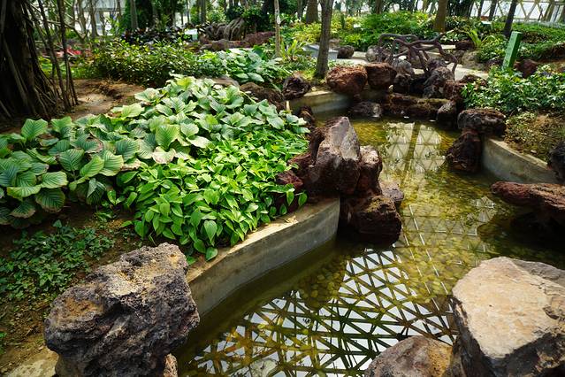 大阳山国家森林公园