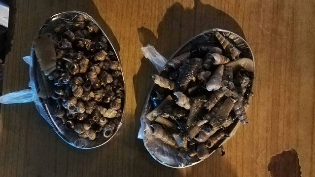 醉香螺·越南风味海螺·螺蛳粉·海鲜(中山路店)