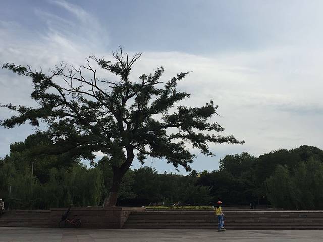 青岛市海泊河公园