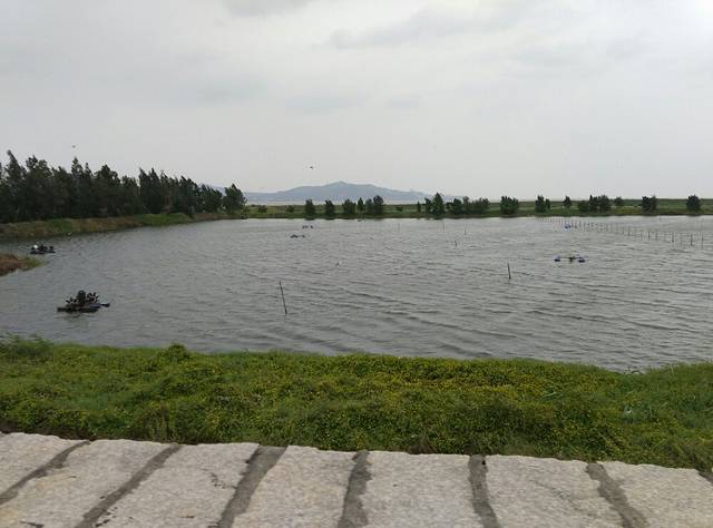 福州市闽江河口国家湿地公园