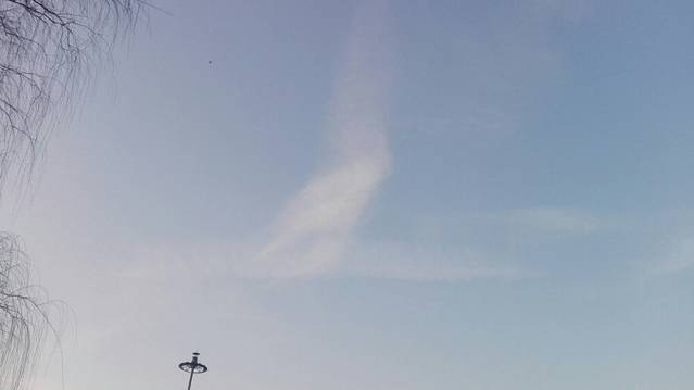 郑州大学软件学院