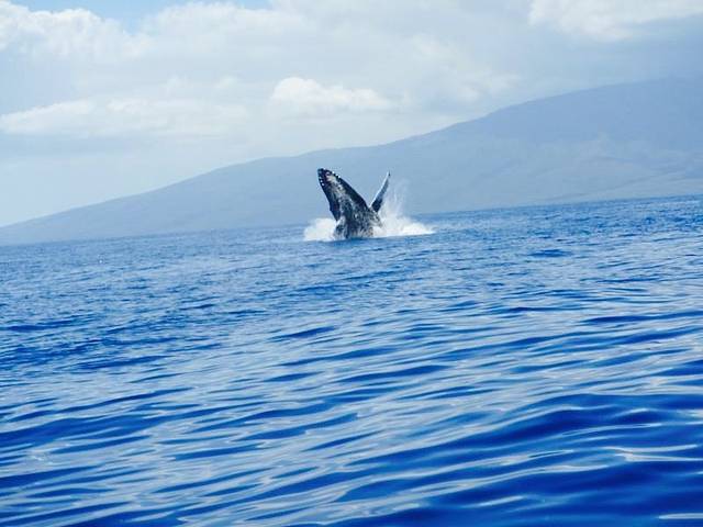 Jean-Michel Cousteau's Ambassadors of the Environment