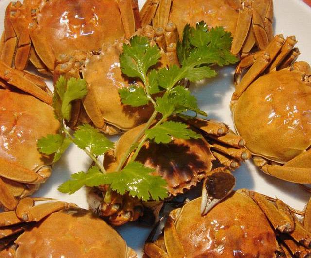 胶东小鱼馆特色蒸汽活海鲜(海滨二路店)