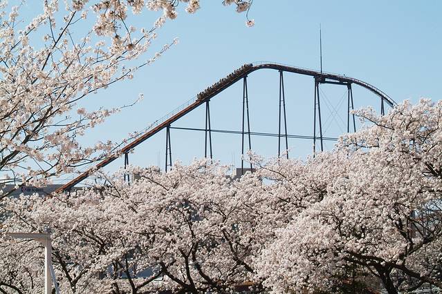 东京游乐园:读卖乐园