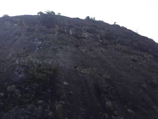 武夷山岩骨花香慢游道