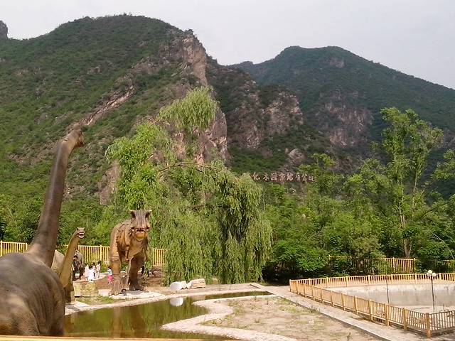 百里山水画廊—硅化木