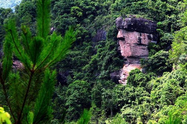 紫林山国家森林公园