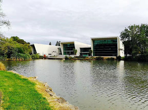 怀卡托大学