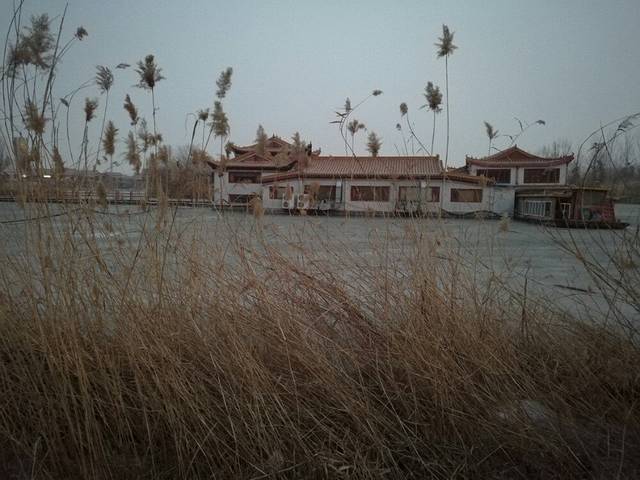 高第街56号餐厅(美食岛店)