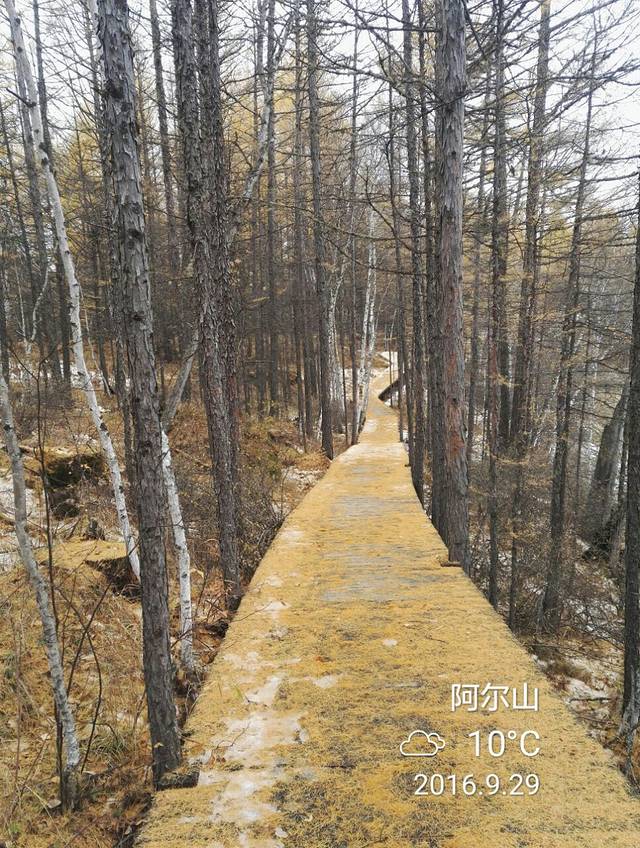 好森沟国家森林公园