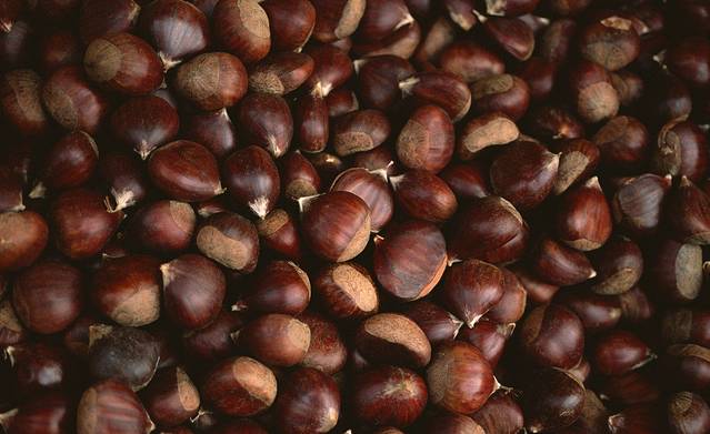 一栗·新鲜零食(北行新华书店店)