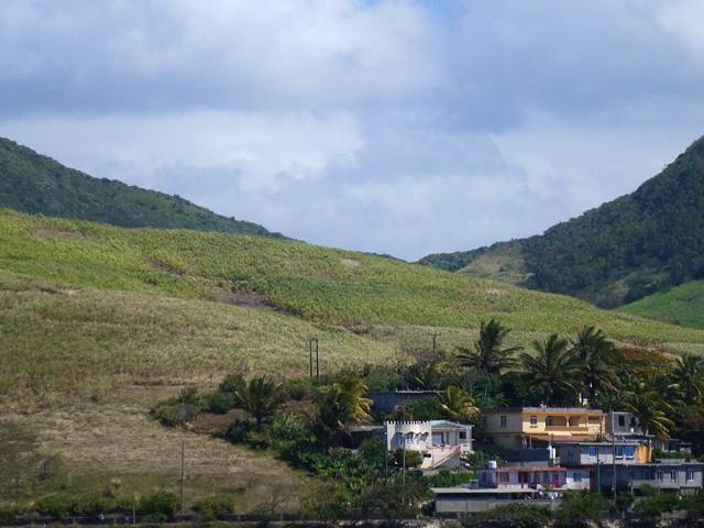 Black Mountain Nature Reserve