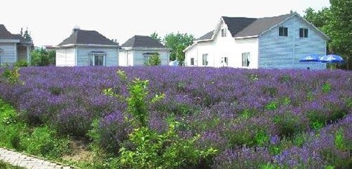 归原田居有机农庄