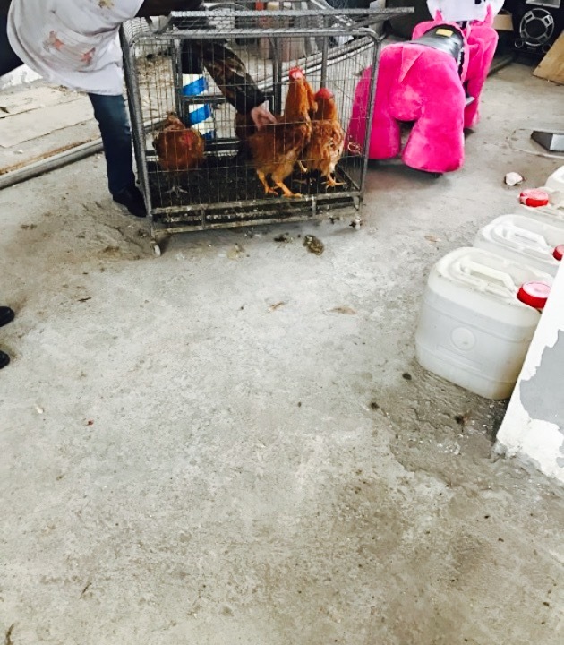 李老幺花椒鸡(松香翠岭店)