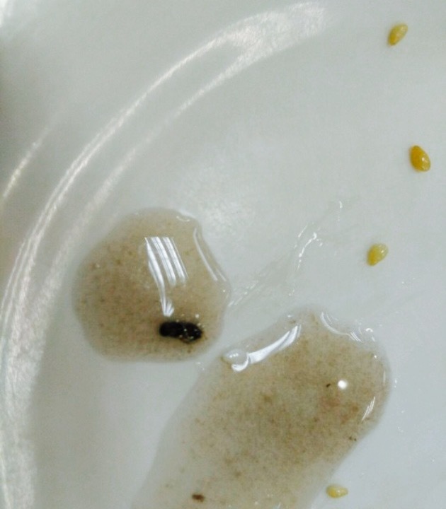 乐口福台式餐饮(太仓店)