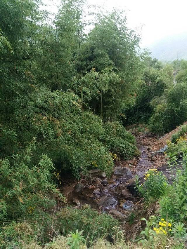 2019石门卡门票,莫干山石门卡游玩攻略,石门卡游览攻略路线/地址/门票