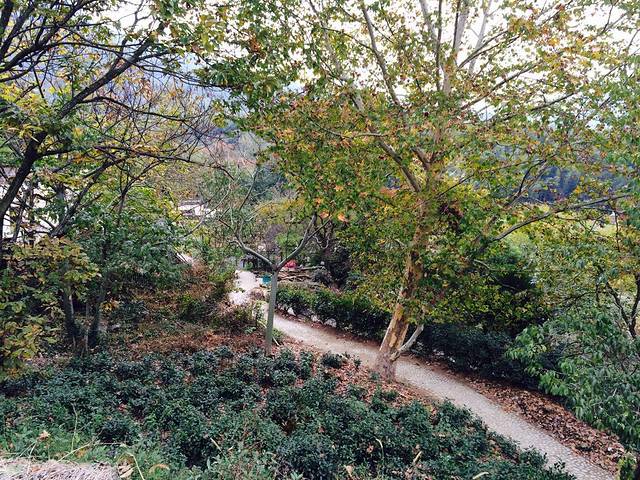 老杨徽菜一楼美食