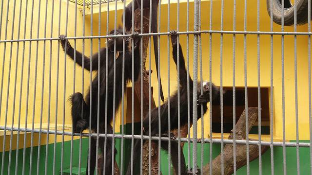 梧州市云龙公园