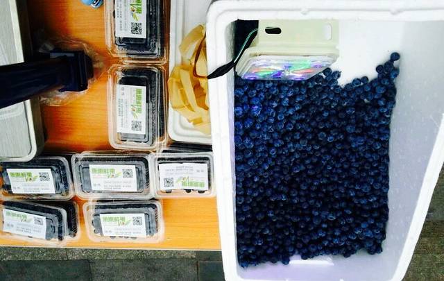 康惠大樱桃采摘园