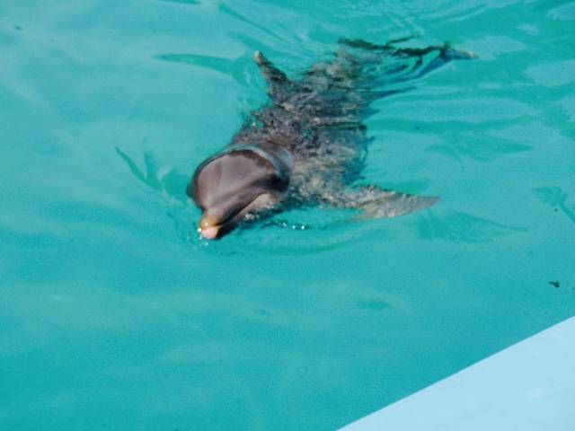 巴瓦罗马纳提公园