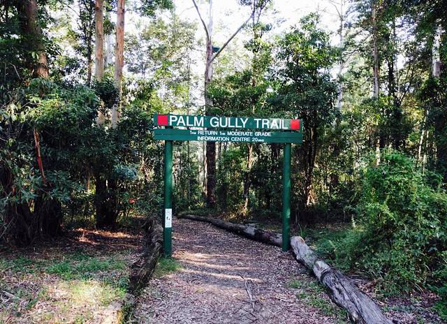 Cumberland State Forest